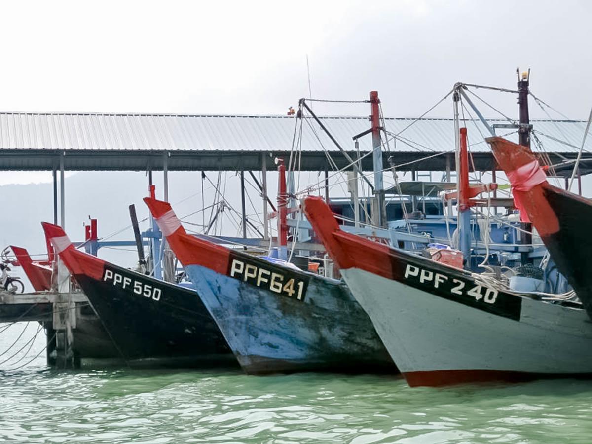 Hotel & Chalet Sportfishing Pnk Teluk Bahang Exterior foto